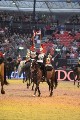 Cavalry - 00227